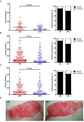 The Maternally Inheritable Wolbachia wAlbB Induces Refractoriness to Plasmodium berghei in Anopheles stephensi